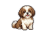 dog icon